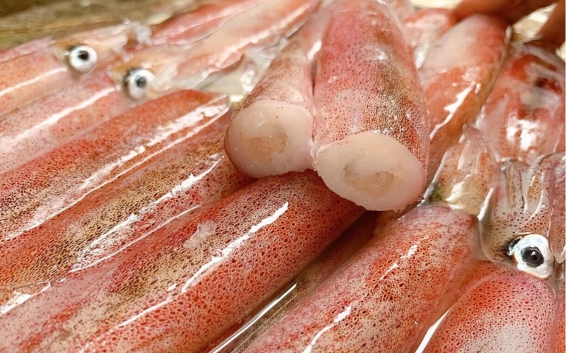 Giá Mực Trứng Bao Nhiêu 1kg? Cập Nhật Mới Nhất 2 Mực trứng