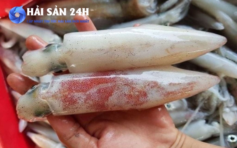 Lợi ích và tác hại của mực ống: Sự thật người bán muốn bạn biết 5 Những ai nên hạn chế ăn mực ống?