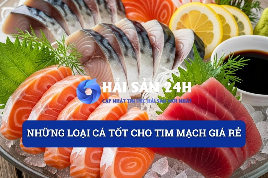Những loại cá tốt cho tim mạch giá rẻ mà dân biển hay ăn