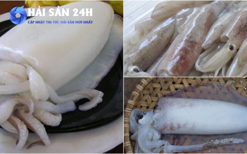 Cách nướng Mực Mai bằng nồi chiên không dầu giòn ngọt không bị khô 5 Những lưu ý để món mực không bị dai