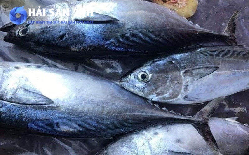 Những yếu tố ảnh hưởng đến giá cá Ù?