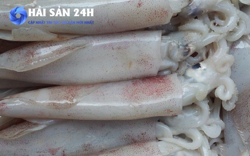 Lợi ích và tác hại của mực ống: Sự thật người bán muốn bạn biết 4 Tác hại của mực ống: Những điều cần lưu ý