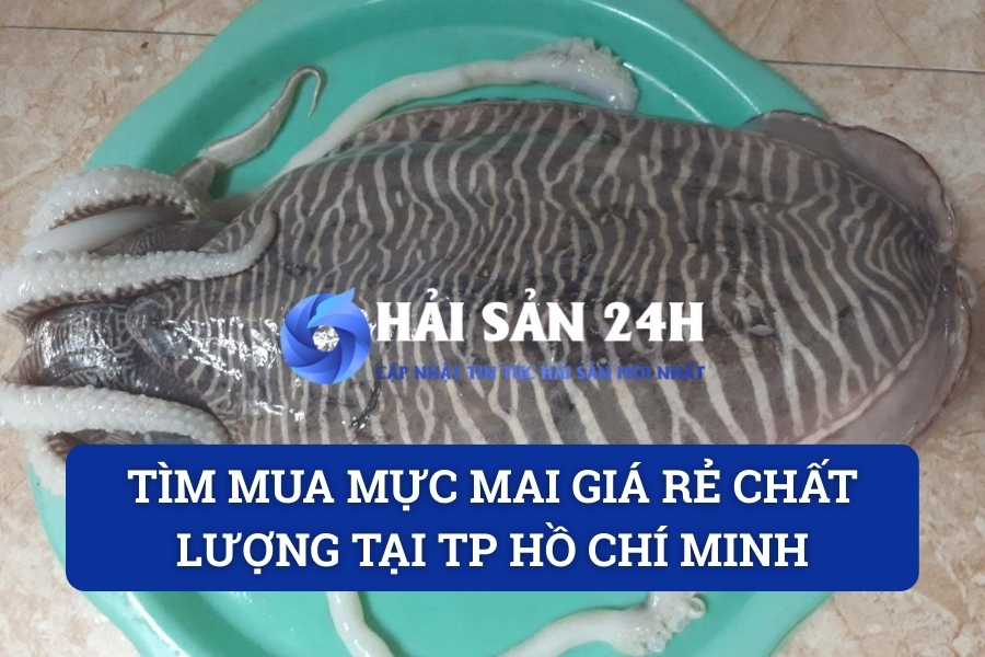 Tìm mua Mực Mai giá rẻ chất lượng tại TP Hồ Chí Minh