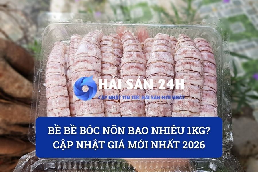 Bề bề bóc nõn bao nhiêu 1kg? Cập nhật giá mới nhất 2026