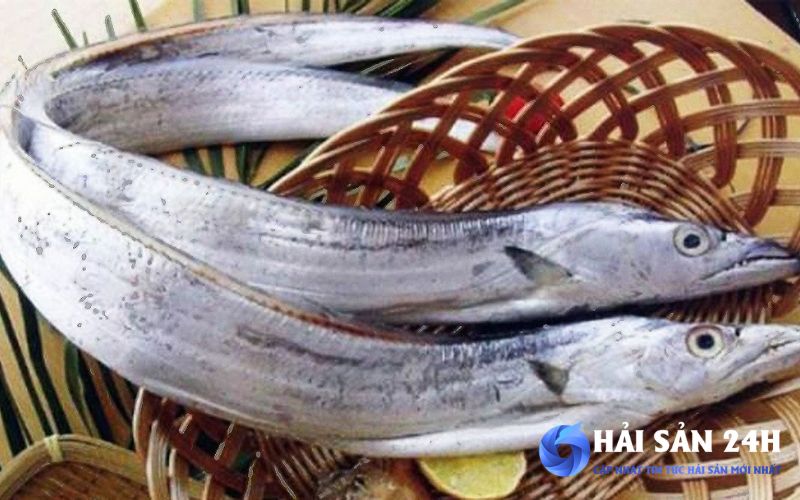 Tìm mua cá Hố tươi ngon giá rẻ tại Hà Nội 2 Cá Hố tại thị trường Hà Nội hiện nay