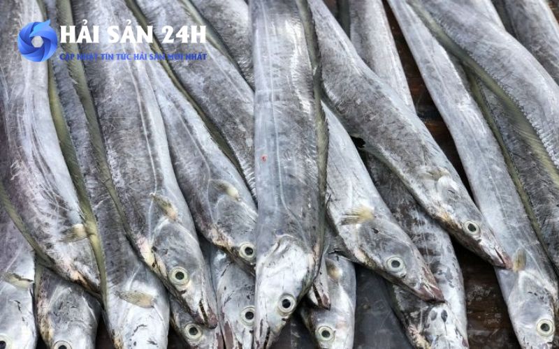 Tìm mua cá Hố tươi ngon giá rẻ tại Hà Nội 4 Cách nhận biết cá Hố tươi ngon khi đi chợ Hà Nội