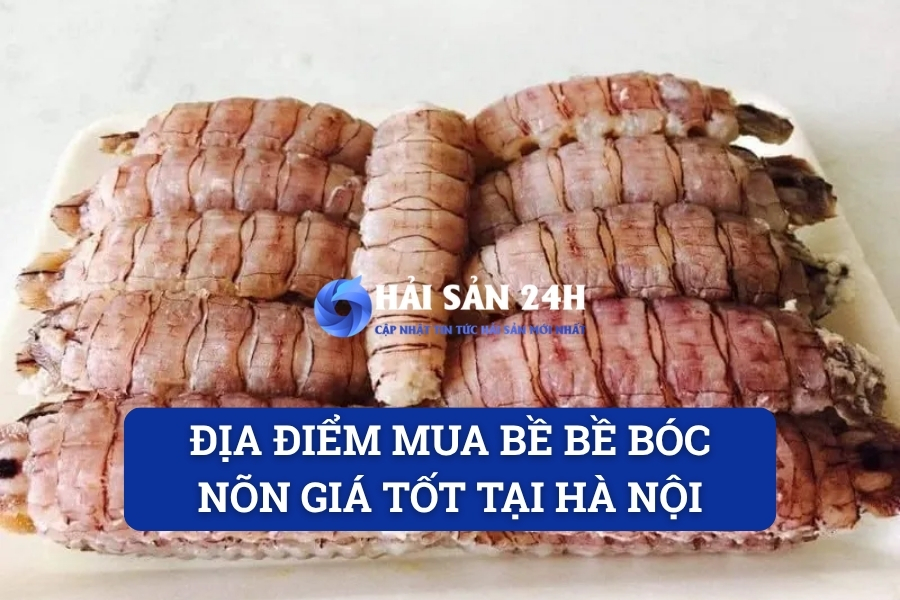 Địa điểm mua bề bề bóc nõn giá tốt tại Hà Nội