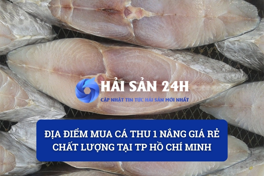 Địa điểm mua cá Thu 1 nắng giá rẻ chất lượng tại TP Hồ Chí Minh
