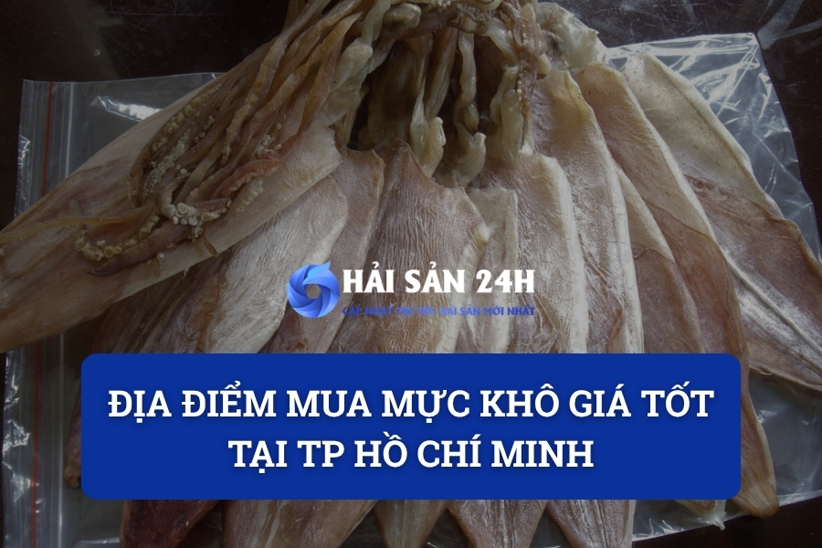 Địa điểm mua Mực khô giá tốt tại TP Hồ Chí Minh
