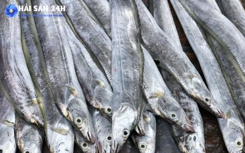 Cách chọn cá hố tươi ngon không bị bở - Kinh nghiệm mua cá hố chuẩn 3 Giá cá hố hôm nay bao nhiêu?