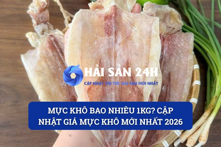 Mực khô bao nhiêu 1kg? Cập nhật giá Mực khô mới nhất 2026