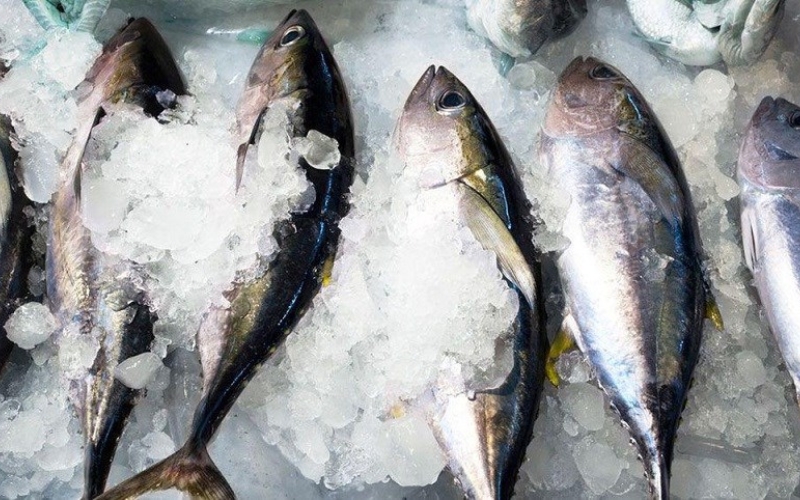 Địa điểm mua cá Ngừ tươi ngon giá tốt tại Hà Nội bạn nên biết 6 Nên mua cá Ngừ ở chợ hay cửa hàng hải sản?