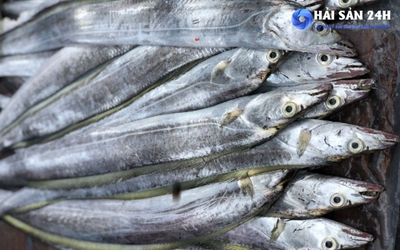 Cách chọn cá hố tươi ngon không bị bở - Kinh nghiệm mua cá hố chuẩn 5 Phân biệt cá hố tươi và cá hố ướp hóa chất