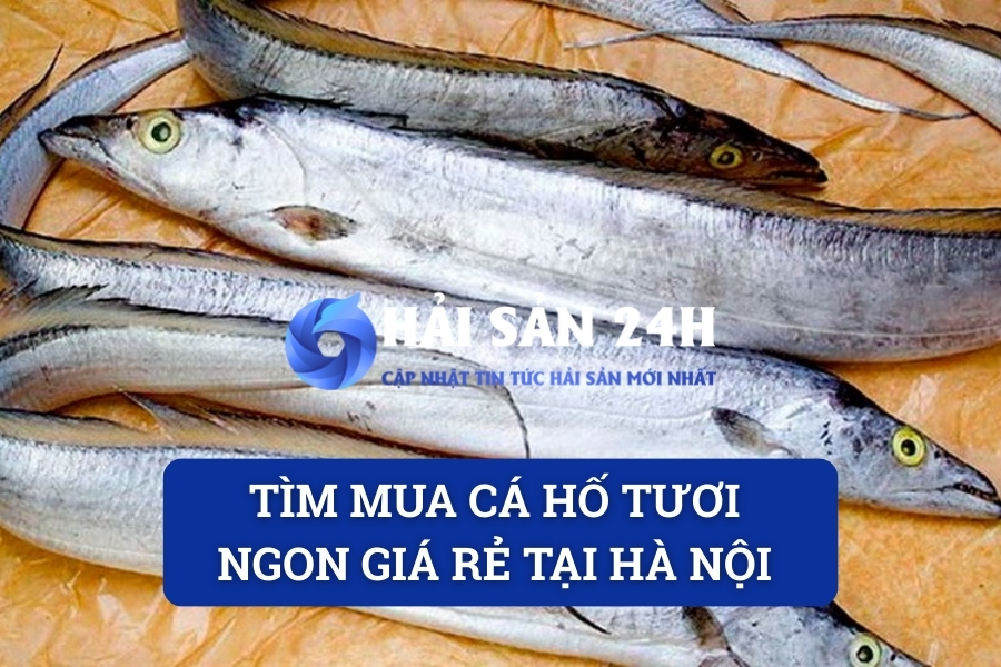 Tìm mua cá Hố tươi ngon giá rẻ tại Hà Nội