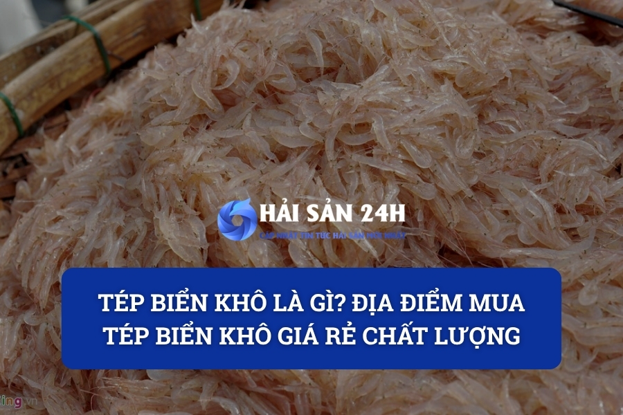 Tép biển khô là gì? Địa điểm mua tép biển khô giá rẻ chất lượng