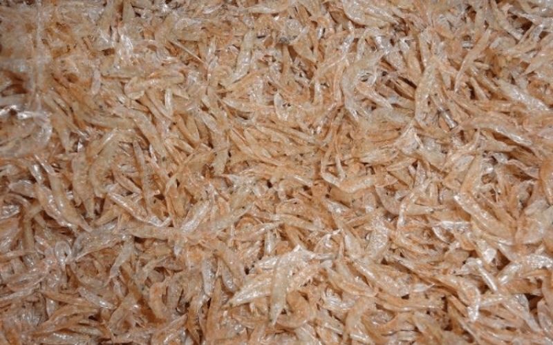 Tép biển khô là gì?